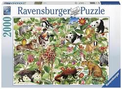 Ravensburger puslespel 2000 Jungelen 2000 bitar - Ravensburger