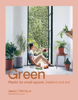 Green plants - tablebook  peach  - New mags