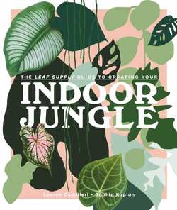 Indoor Jungle  Grønn/Rosa  - New mags