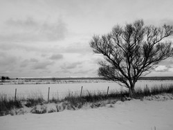 Vinter: Fotoplakat sort/hvit - MyBlitz.no