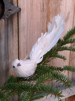 Krøllfjær-fugl Snø - UND Signature 