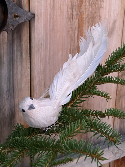 Krøllfjær-fugl Snø - UND Signature 