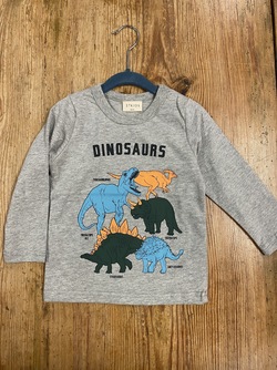 Dinosaurs genser grå  grå - 27KIDS