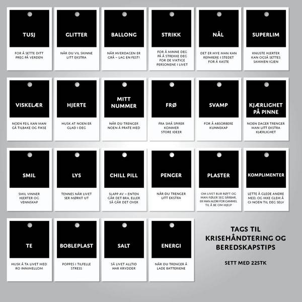 Krise og beredskap - 22pk