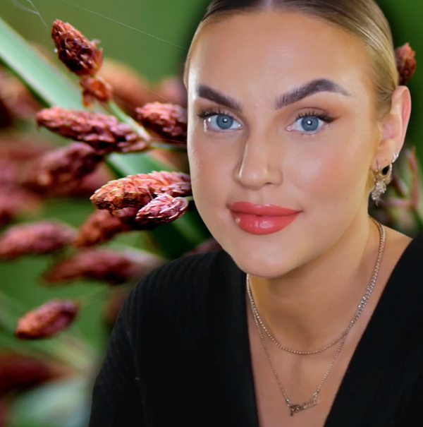 THE MEADOW NR 3.1 LIMOSA