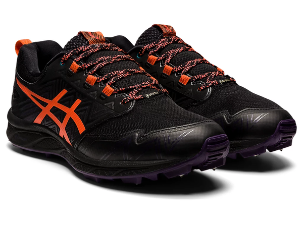 Asics Fujisetsu gtx