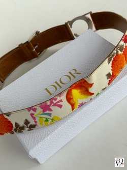 Christian Dior Belte Flerfarget - Dior
