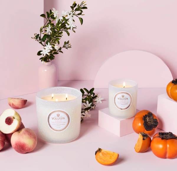 Duftlys - Saijo Persimmon 340g, 40t