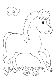 MALEBOK FOR NYBEGYNNERE