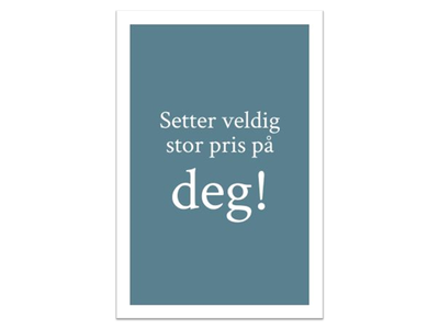 Setter stor pris på deg | 10x15 cm ikke relevant - Papirkort.no