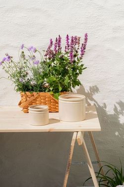 The Legacy Krukke D 14/12cm H 16cm