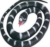 Gummi slange - California King