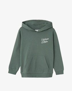 NKMREMMOS LS NREG SWEAT HOODIE DARK FOREST - Name It