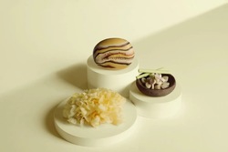 Snøsopp - Slow Aging