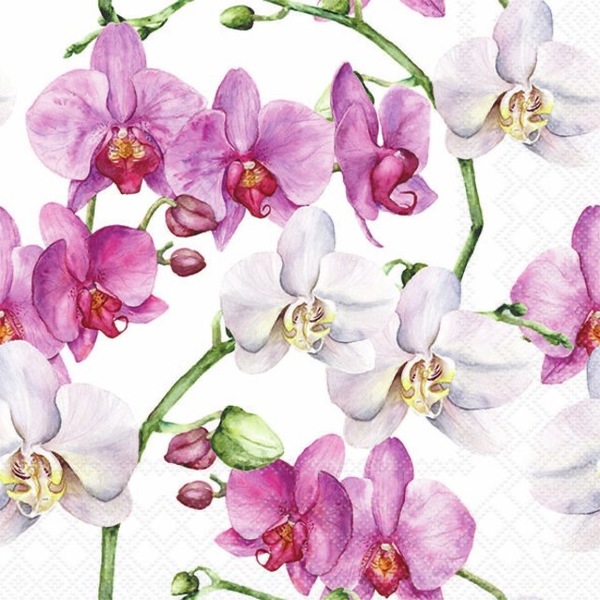 Napkin Elegant Orchids, 33x33cm 20stk