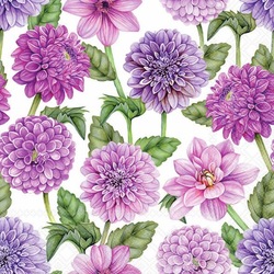 Napkin Dahlias in Bloom, 33x33cm 20stk ikke relevant - Ambiente