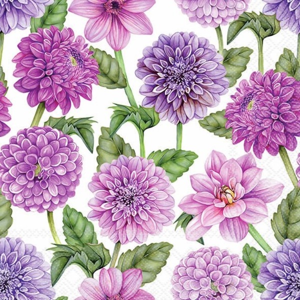 Napkin Dahlias in Bloom, 33x33cm 20stk