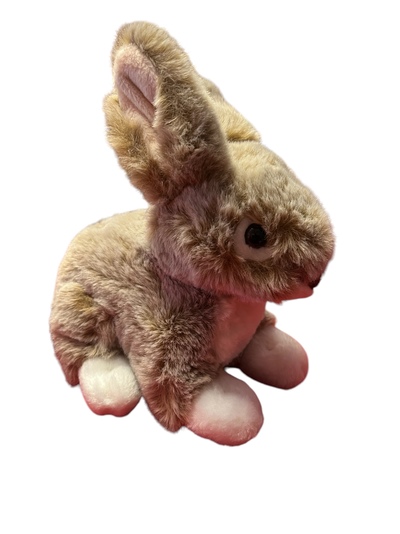 Dreamies kaniner 20 cm,3 ass Lys Brun - Teddykompaniet