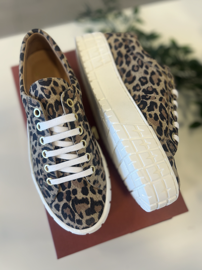 Kasama Moreda Leopard - KMB