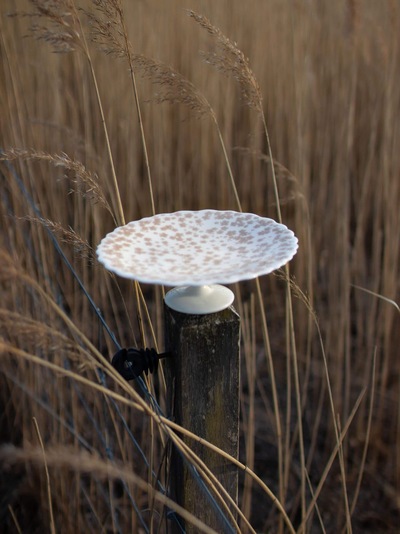Slåpeblom Kakefat 21cm Rosa - Wik & Walsøe