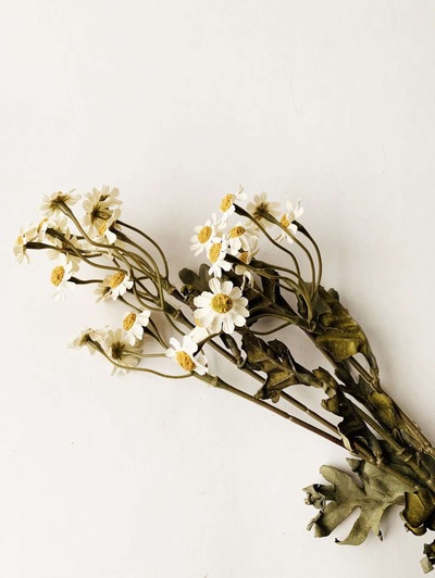 Asters Hvit 53cm ikke relevant - Trend Design