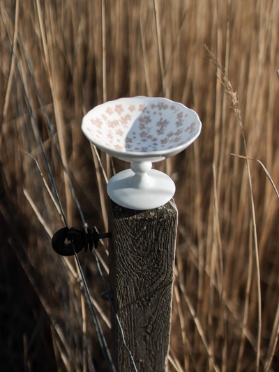 Slåpeblom Bolle m/Stett 12cm Rosa - Wik & Walsøe