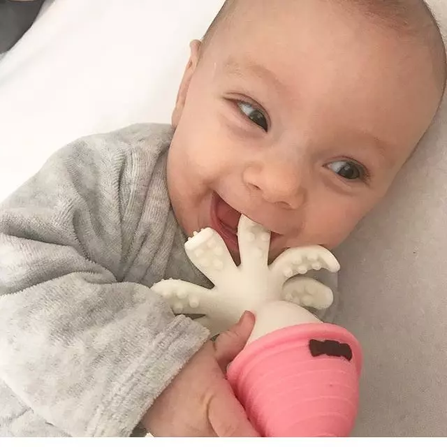 MOMBELLA OCTOPUS - ROSA