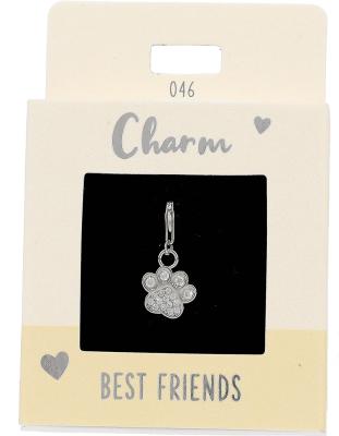 Express Yourself Anheng (Nickel free tested) - Silver best friends Paw