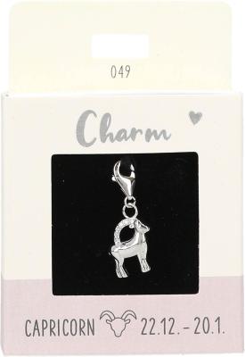 Express Yourself Anheng (Nickel free tested) - Silver Capricorn
