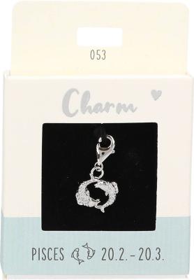 Express Yourself Anheng (Nickel free tested) - Silver Pisces