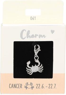 Express Yourself Anheng (Nickel free tested) - Silver Cancer