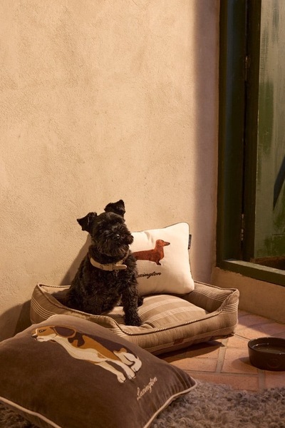 Hund Pute i Økologisk Bomullsfløyel Lys Beige - Lexington