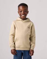 LEVIS MINI BATWING PULLOVER HOODIE