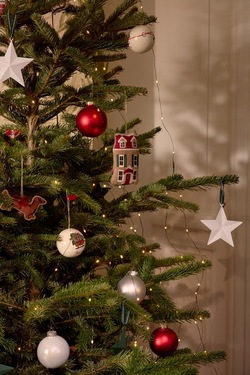 Hus Økologisk Bomullsfløyel Ornament