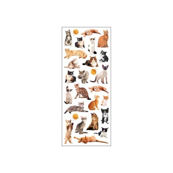 STICKERS KATTER TINKA