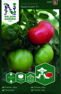 Tomat, Høy - Rose Crush F1 ikke relevant - Nelson Garden