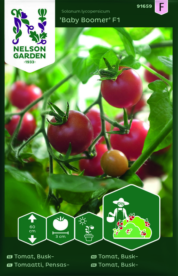 Tomat, Busk - Baby Boomer F1