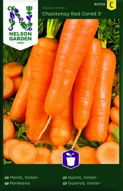 Gulrot, Vinter - Chantenay Red Cored ikke relevant - Nelson Garden