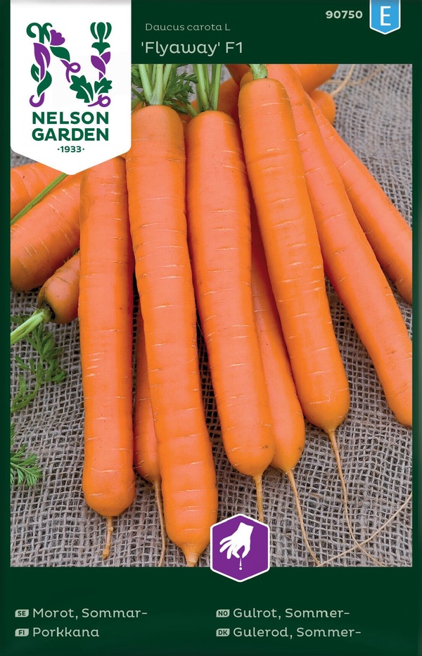 Gulrot, Sommer - Flyaway F1