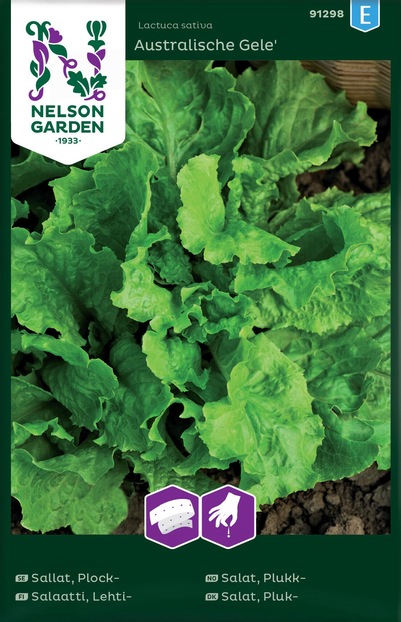 Salat, Plukk - Australischer Gele, Frøbånd ikke relevant - Nelson Garden
