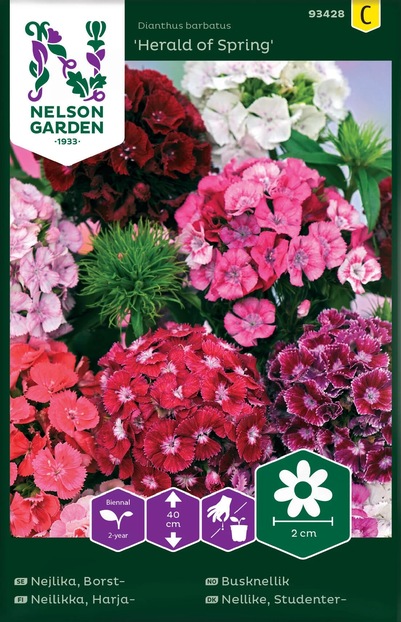 Busknellik - Herald of Spring ikke relevant - Nelson Garden