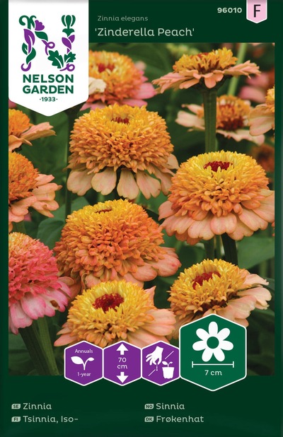 Sinnia - Zinderella Peach  ikke relevant - Nelson Garden