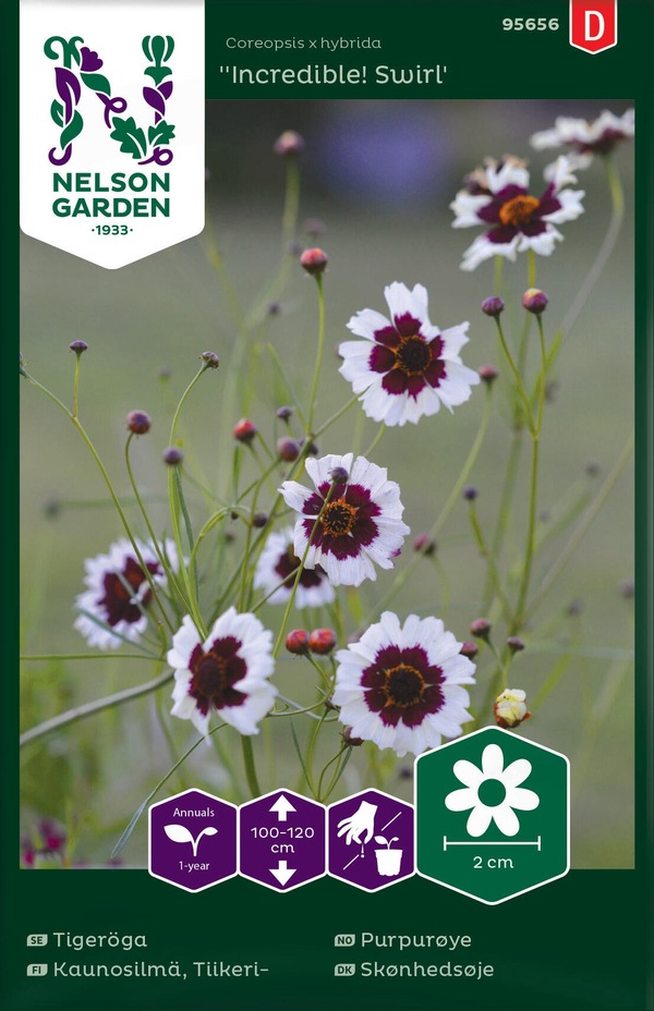 Purpurøye - Incredible Swirl