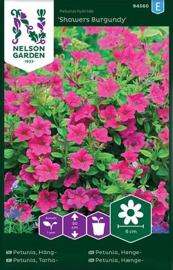 Petunia, Henge - Showers Burgundy ikke relevant - Nelson Garden