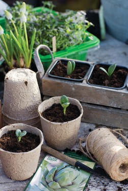 Fiberpotte 12stk ikke relevant - Nelson Garden