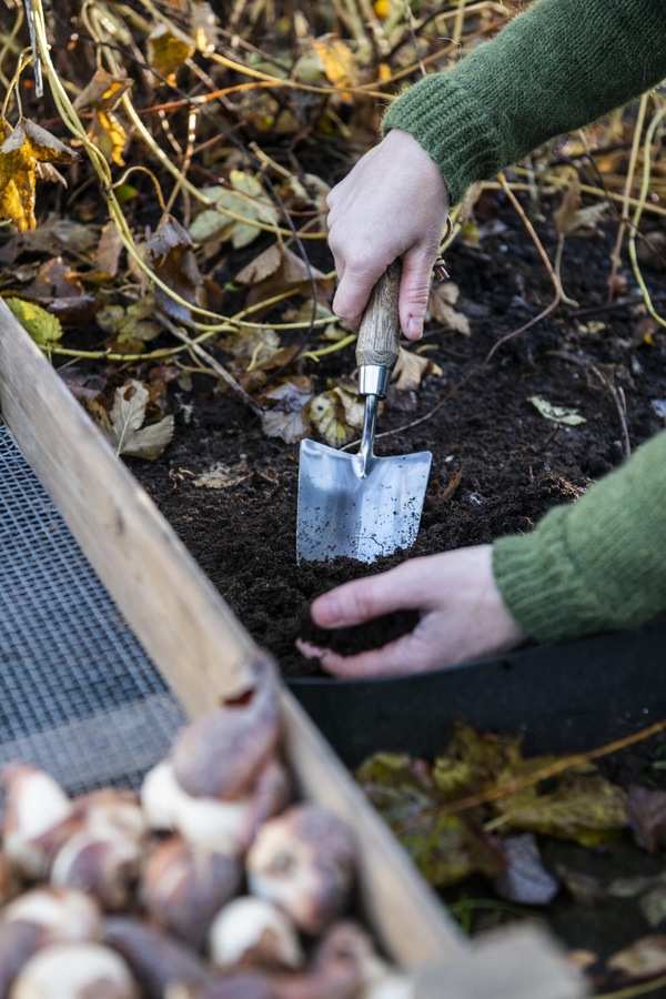 Spade Bred Rustfritt Stål