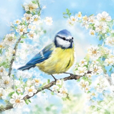 Napkin Blossom Time - Lunsj 33x33cm, 20stk ikke relevant - Ambiente