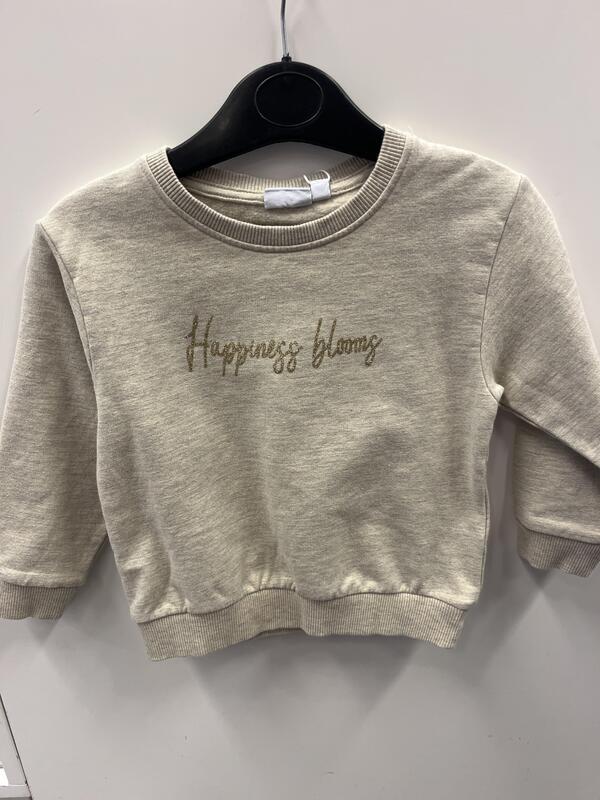 NMFLAISE NREG SWEAT BRU