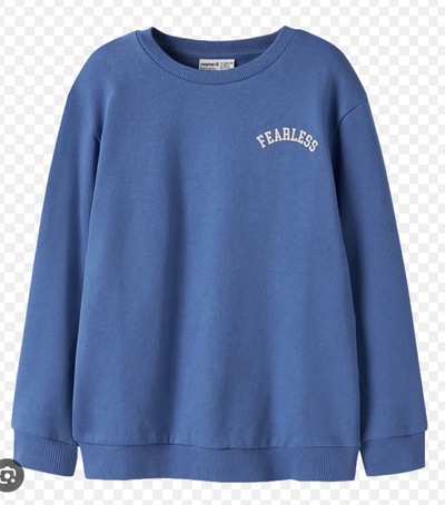 NKMBLAIN LS NREG SWEAT BRUSH Delft - Name It