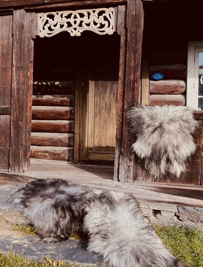 Spælsaueskinn fra Færøyene  grå - Hyttestil